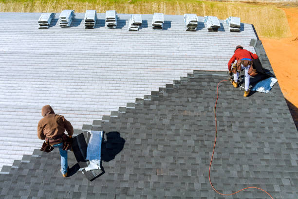 Best Flat Roof Repair Services  in Cannon Falls, MN