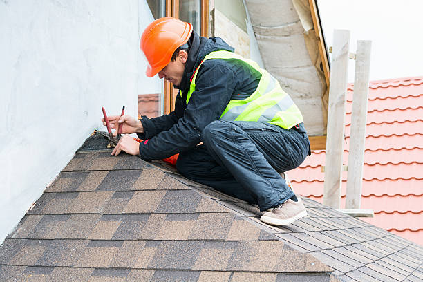 Best Roof Repair Services  in Cannon Falls, MN